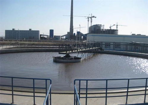 山东天朗环保 优质唐山周边传动刮吸泥机及气浮机解决方案